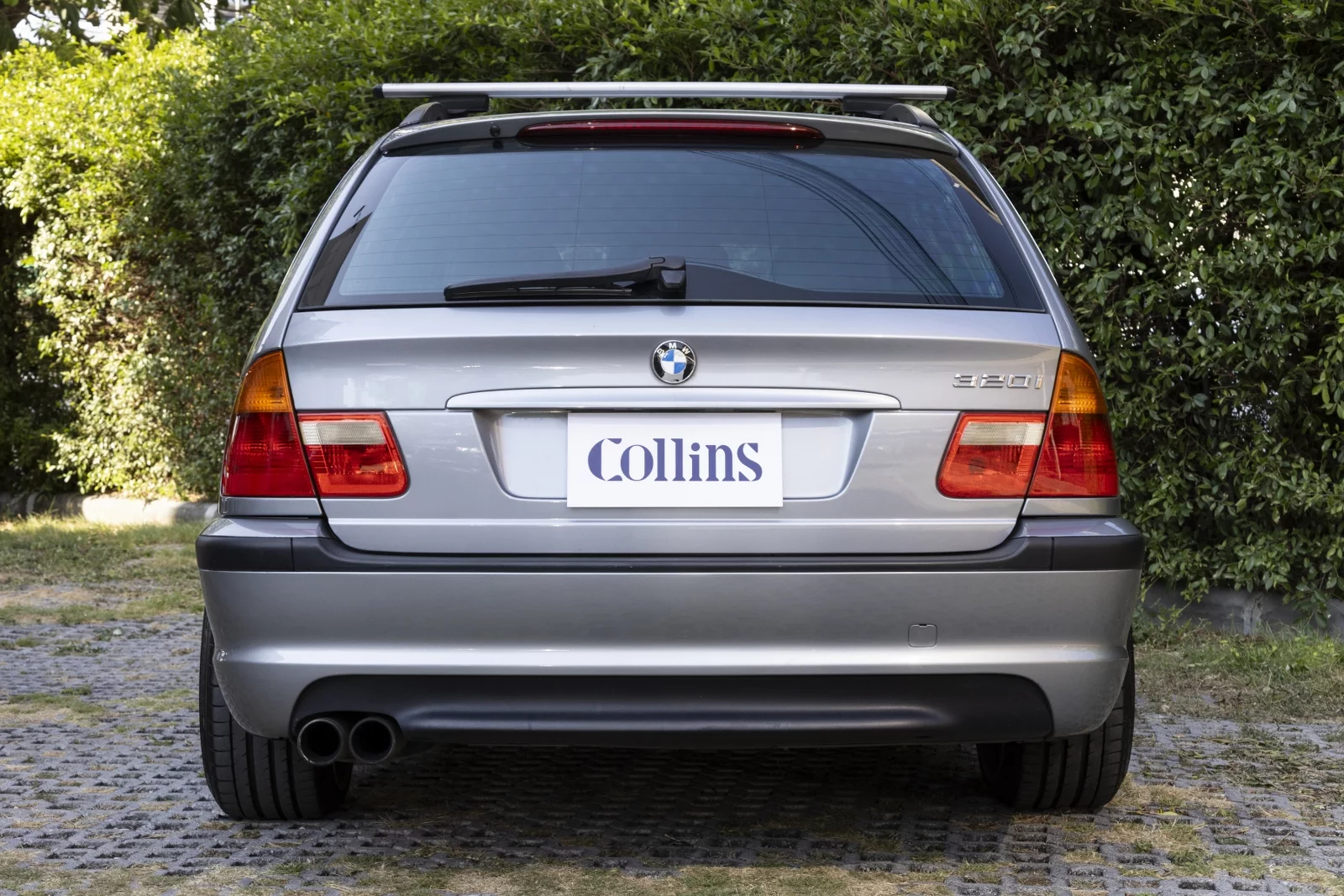 1742365840.2472.911 assistant-collins - 136_1600x1067.jpg