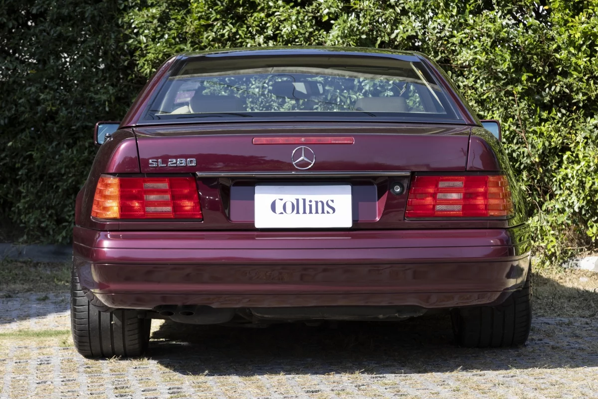 1742962521.3556.911 assistant-collins - 105_1199x800.jpg